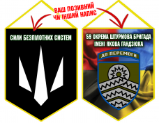 Вимпел 59 ОШБр Сили Безпілотних Систем Combo